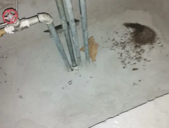 北海市卫生间测漏水价格明细